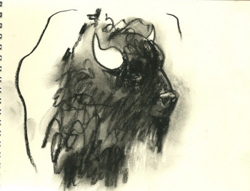 Charcoal drawing of the head of a buffalo