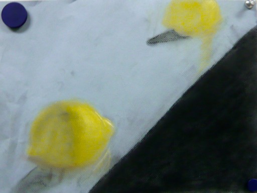 Pastel drawing of two yellow lemons