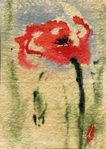 Ink Drawing of red poppy flower on gold background.